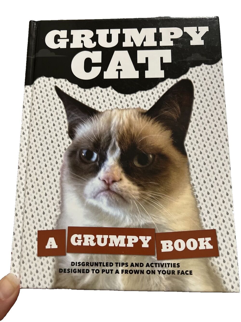 Grumpy Cat A Grumpy Book Disgruntled Tips And Activities Designed To Put A Frown
